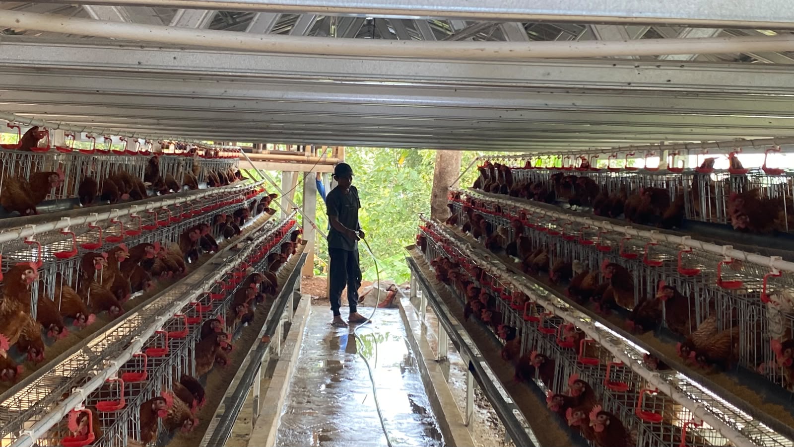 Produktif Selama Menjalani Pembinaan Warga Binaan Lapas Banjar Ikuti Beragam Kegiatan Kemandirian